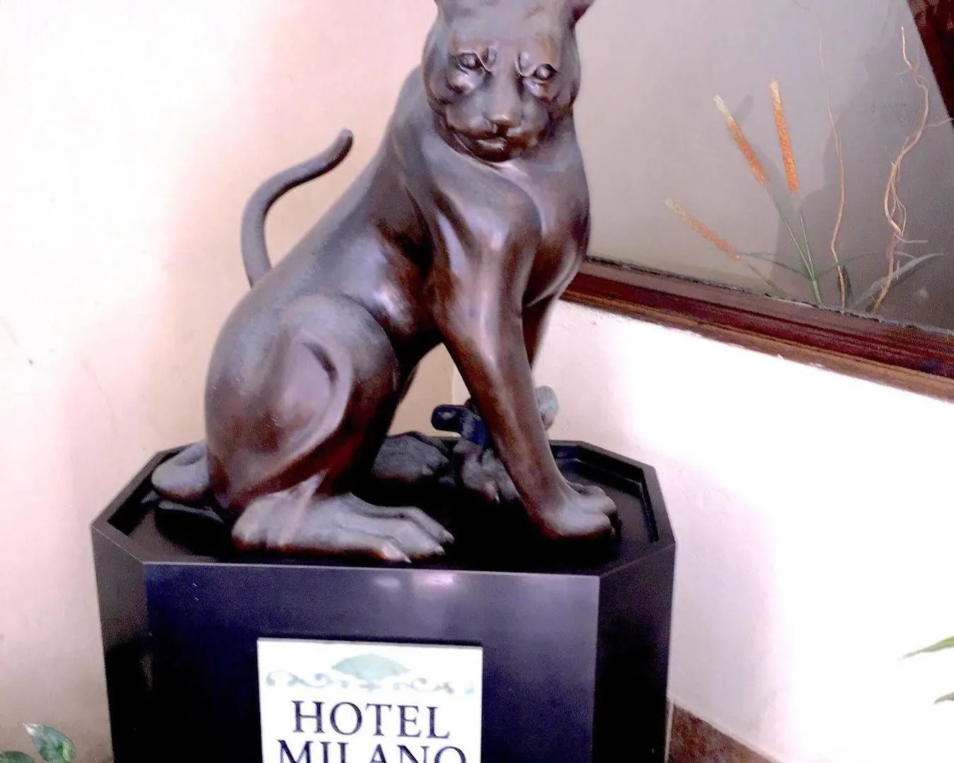 Hotel Milano San Juan